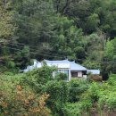 삼삼환경(주) | 요즘 핫한 단기임대 플랫폼,"삼삼엔투"사용 후기