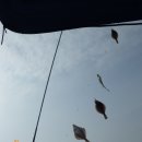 성복호 이미지