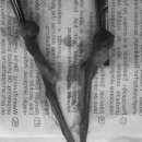 용인도담동물병원 이미지