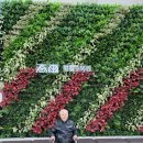 다우메디칼 이미지