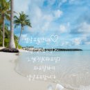 반찬가게정가는맛집♥ 설날휴무안내 2월9일(금요일)~2월13일(화요일) 이번주수요일부터정상영업합니다﻿🤩 ♥온누리동백전가능 이미지