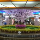 원형분수대 이미지