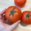 해복농장 | 가람상점 덜익은 못난이토마토 구매후기