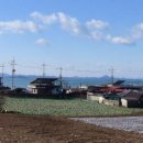 해안공인중개사사무소 이미지