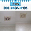 세븐일레븐 부천소사원룸점 | 부천원룸청소 부천 회사기숙사 청소 니코틴 제거까지 진행한 현장