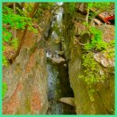 숲속다람쥐펜션 이미지