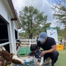 인우목장 이미지