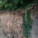 다감식품 이미지