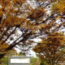 호미인문경 이미지