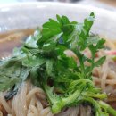 파파누들 이미지