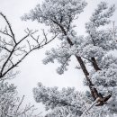 내눈에꽃의원 이미지