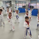 용인대국가대표KTop태권도 | 양지태권도 아이의 변화가 느껴진 용인대국가대표태권도 후기
