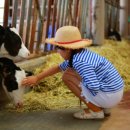 투데이목장 이미지