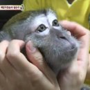 행렬농장 이미지