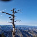 성수행정사사무소 이미지