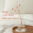 소풍카페 - 청양군 정현길 54 | 소풍카페