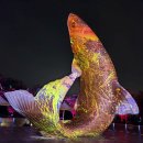 .......◈ 계양 아라온 빛의 거리 꽃 축제&amp;아라뱃길 야경 우중야행 이미지