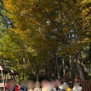 호돌유치원 이미지