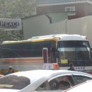 프라임관광호텔 앞 이미지