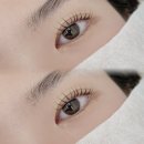 와이오브로우