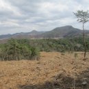 점말농장2 이미지