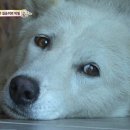 길순농장 이미지