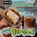 플라잉스톤 이미지