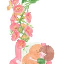스튜디오 라유