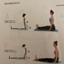 토요)교정요가 이미지