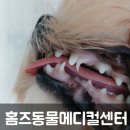 홈즈 동물병원 이미지