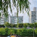 코리아 게임장 이미지