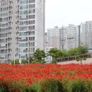 마동 송보1차아파트 이미지