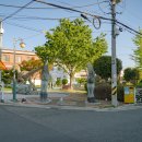 사림동117 이미지