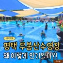 무봉산청소년수련원 야외 야영장 | 평택 무봉산수영장 후기｜아이와 가기 좋은 숲속수영장 주차·요금·이용팁