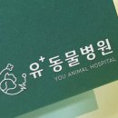유동물병원 이미지