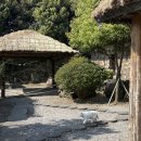 행복한 굼벵이 마을 | 홈쇼핑 제주도 패키지 3박 4일 여행 후기 3일차(스카이워터쇼, 광치기해변, 에코랜드, 선셋요트투어)