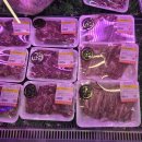 우리식육식당 이미지