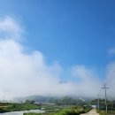 산안개 농장 이미지