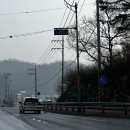 롯데리아 앞 횡단보도 이미지