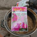 대림농약종묘사 이미지