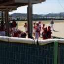 김천신일초등학교 이미지