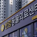 오래디자인