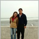 계화초등학교 이미지