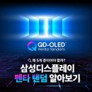 삼성의 새로운 QD-OLED 모니터, 오디세이 OLED G8 G80SH 리뷰(1주차)