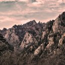 강원도래요 이미지