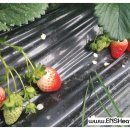 달밭농장 이미지