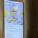 거진호텔 | 해운대 파라다이스호텔 애프터눈티 세트 후기