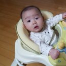 실버팍스 네이버블로그