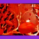 주식회사 제이디기술 이미지