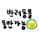 퍼피존애견